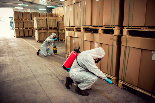 Best Pest Control Near Me  in Coopertown, TN