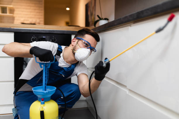 Best Bed Bug Extermination  in Coopertown, TN