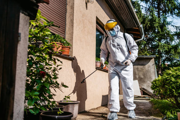 Wasp Removal Services in Coopertown, TN