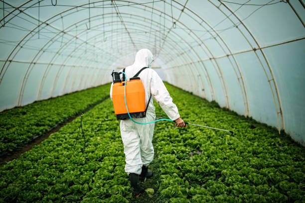 Reliable Coopertown, TN Pest Control Solutions