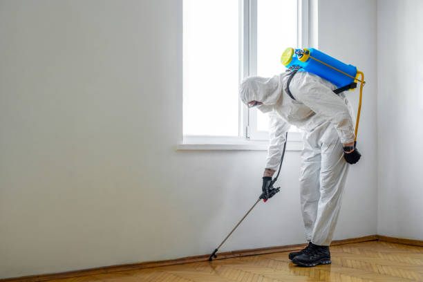 Best Rat Extermination Near Me  in Coopertown, TN