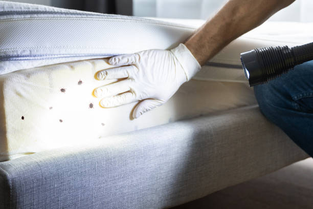 Best Pest Inspection Near Me  in Coopertown, TN