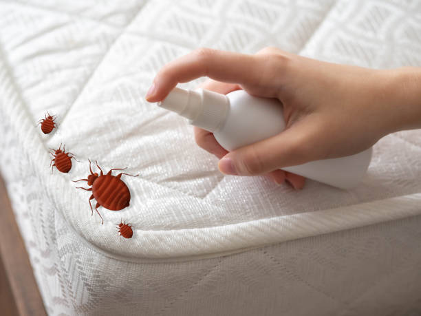 Best Best Pest Control Companies  in Coopertown, TN