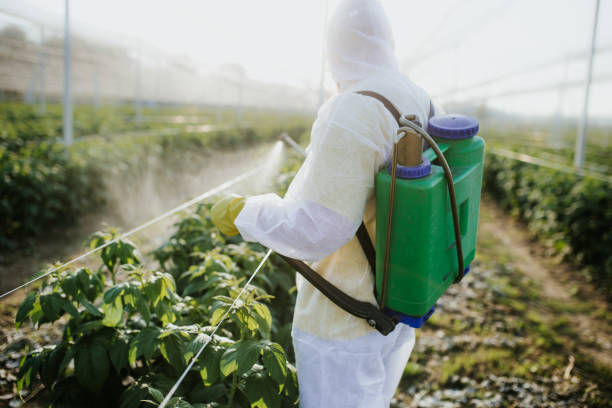 Best Insect Control  in Coopertown, TN